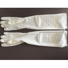 Medical Sterile Latex Disposable Gynaecological Gloves